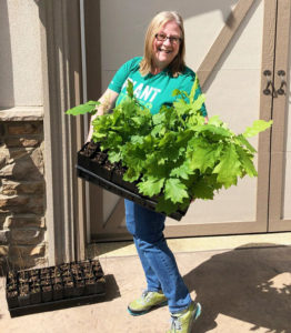 basket full of trees